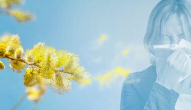 Biowetter Bonn heute: Pollen-Belastung durch Beifuß und Gräser und Wetterfühligkeit aktuell
