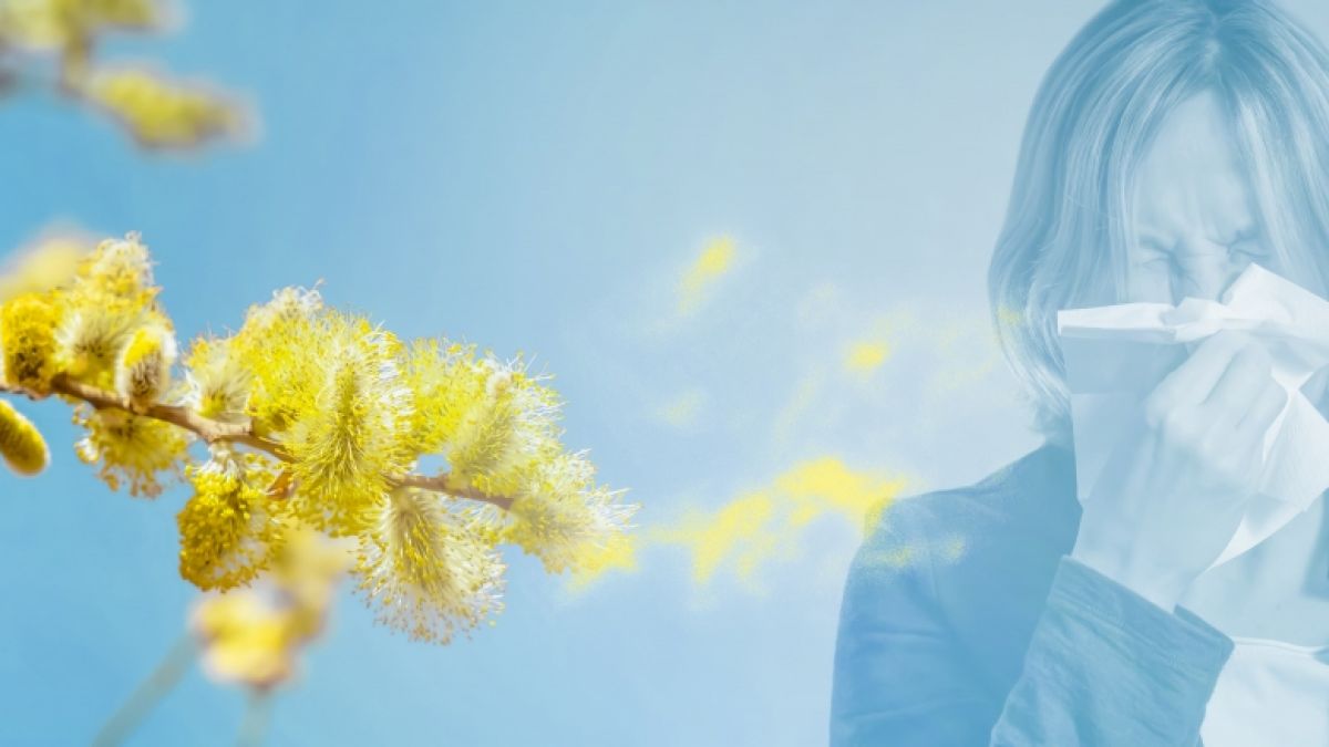 Biowetter Bonn heute: Pollen-Belastung durch Beifuß und Gräser und Wetterfühligkeit aktuell