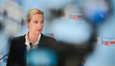 AfD erreicht in Wahlumfrage wieder 25 Prozent