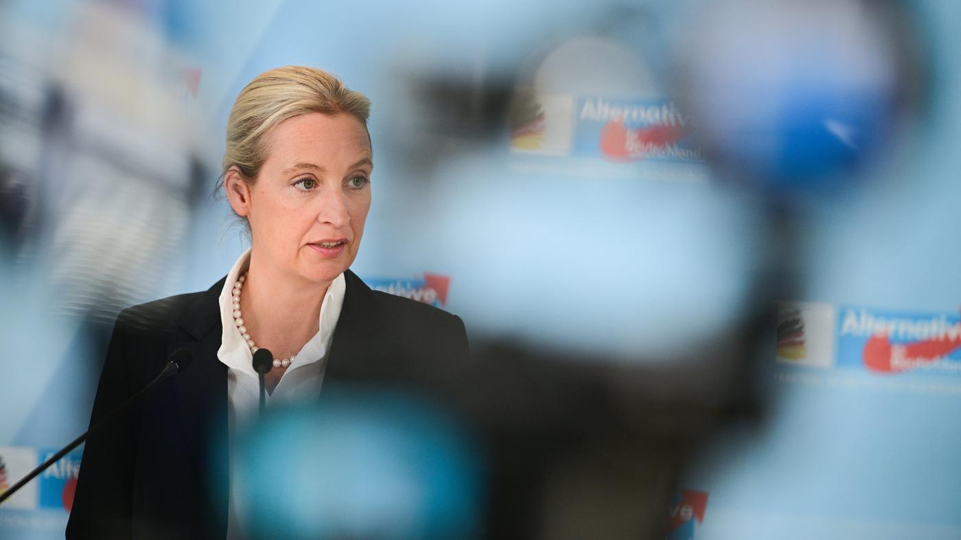 AfD erreicht in Wahlumfrage wieder 25 Prozent