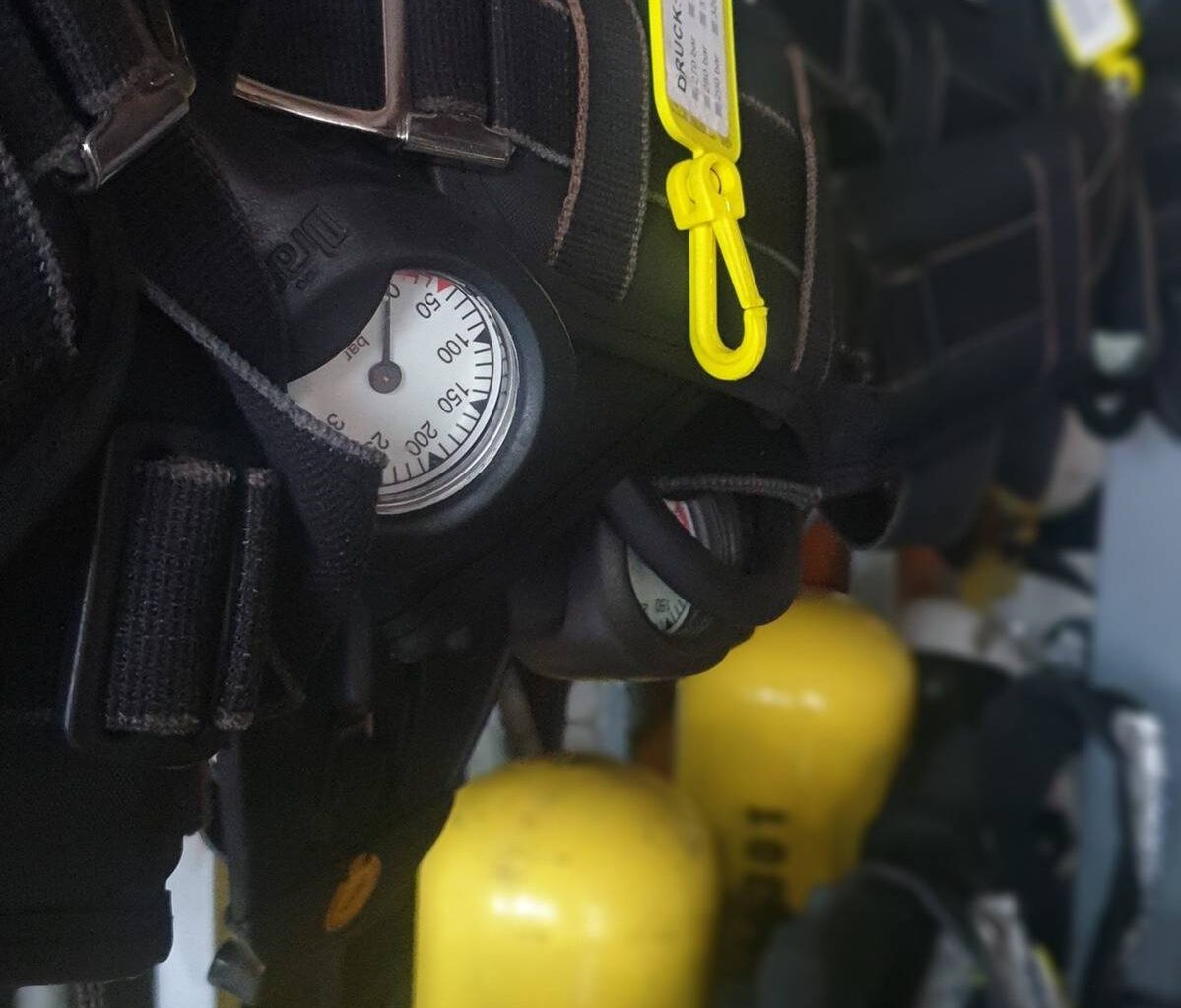 Drei Katzen bei Wohnungbrand in Remscheid gerettet