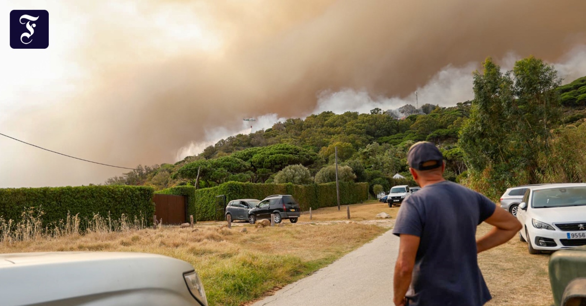 Waldbrände in Südspanien und im Süden Frankreichs