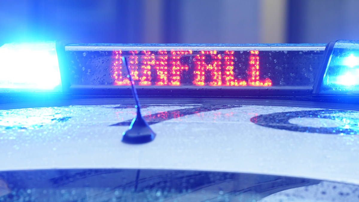 Hamburg: Beifahrer und Hund rennen nach Verkehrsunfall weg – Hund beißt Ersthelferin