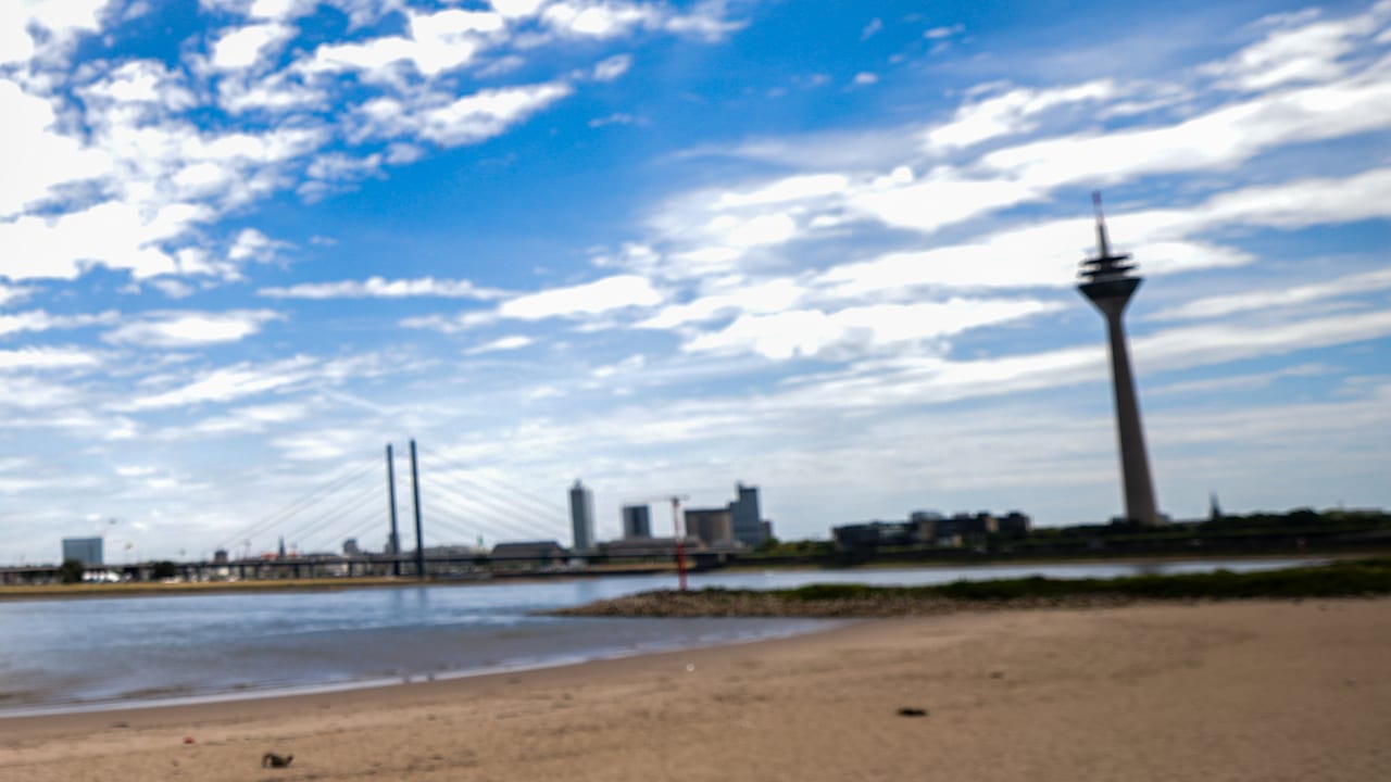 Erste Stadt verbietet Baden im Rhein: Diese Strafe droht ab Donnerstag | Regional