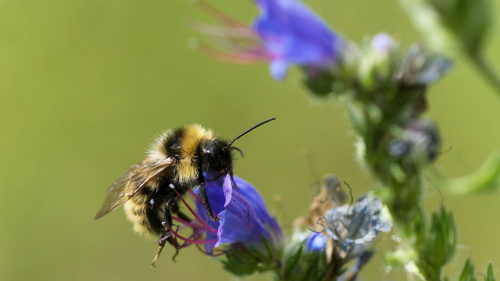 imago images 167800664