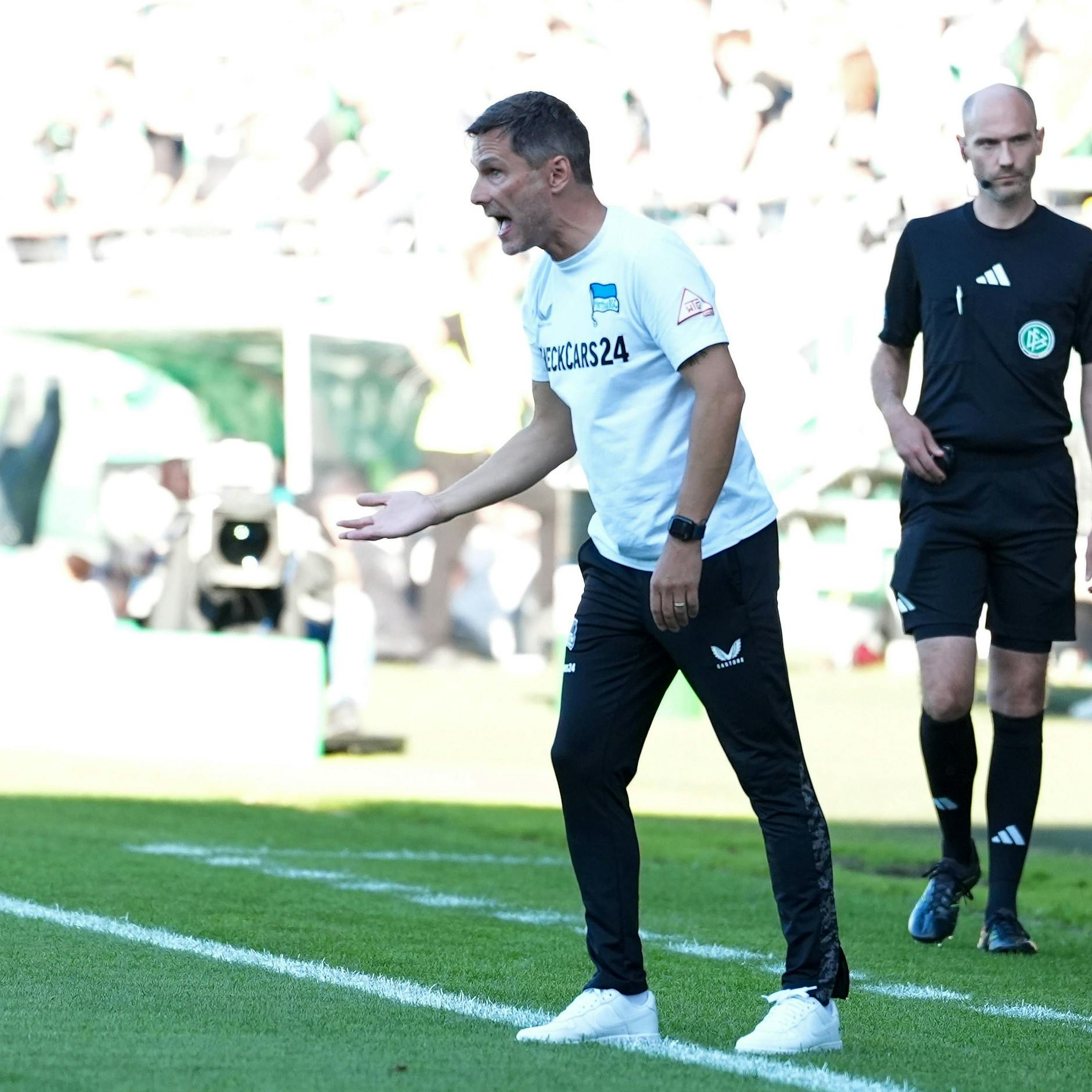 Herthas Trainer Stefan Leitl forderte energisch mehr Bewegung seiner Profis beim Pokalspiel in Münster