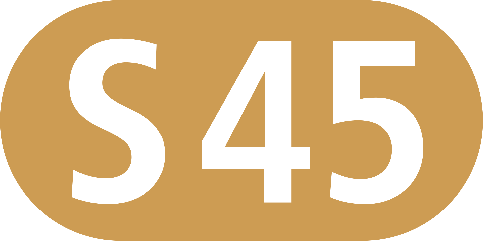 Berlin-Brandenburg transit icons: Symbolbild für S45
