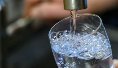 Versorger rechnen mit mehr Engpässen beim Wasser in Deutschland | News