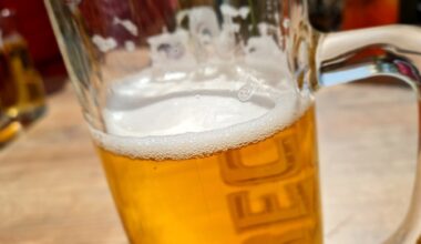 Bierabsatz in Sachsen-Anhalt im Jahr 2024 gestiegen