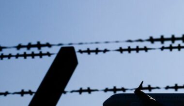 Die Zahl der Abschiebungen aus Deutschland steigt, nicht erst seit Amtsantritt der neuen Regierung.