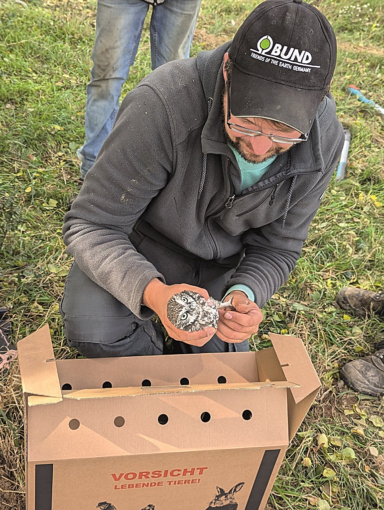 Vortragsreihe der Tiergartenfreunde startet im September