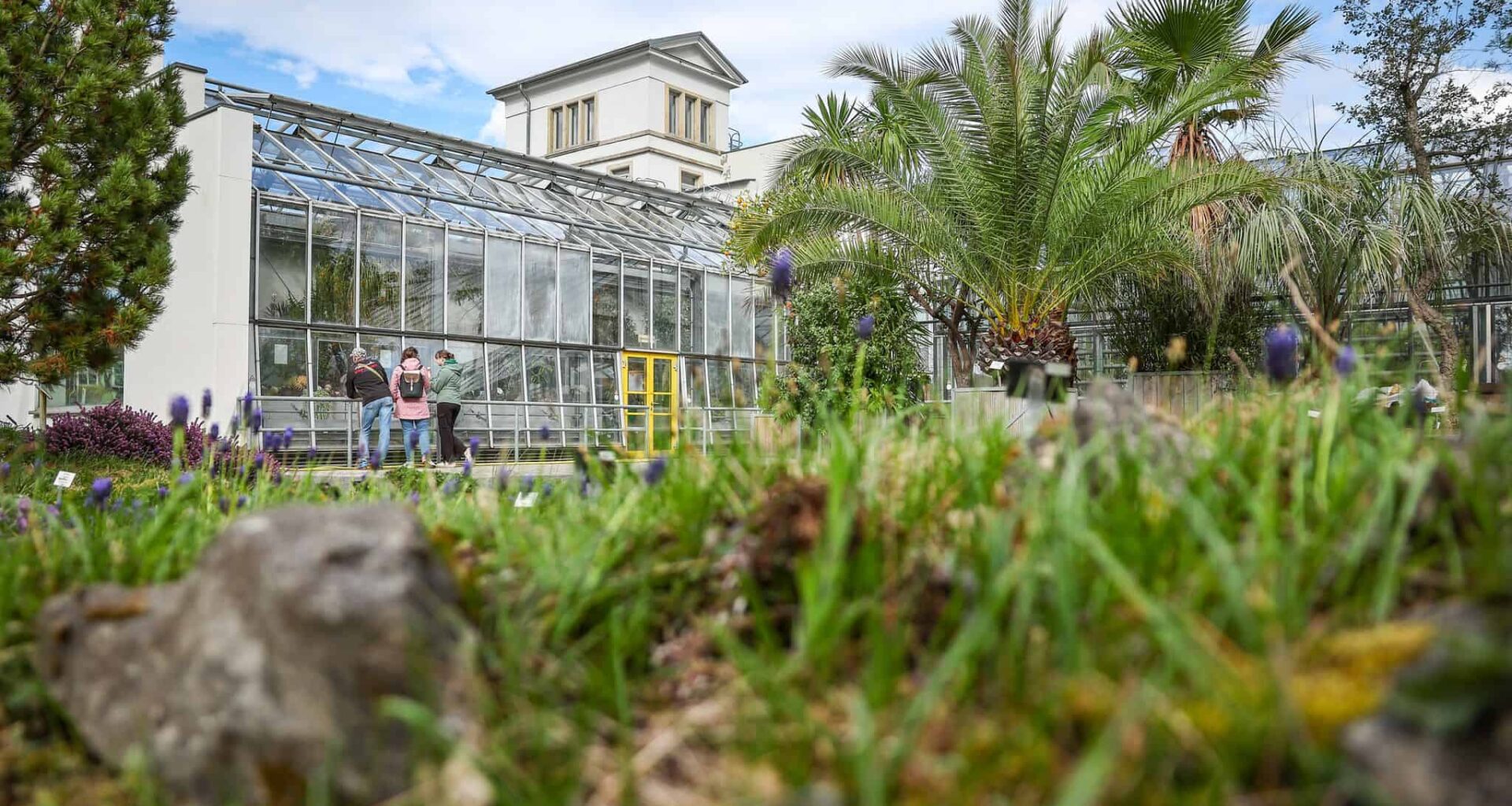 Botanische Gärten kämpfen mit Diebstählen