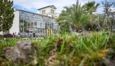 Botanische Gärten kämpfen mit Diebstählen