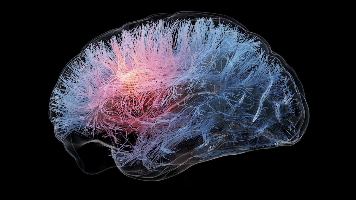 Autismus und Schizophrenie: Forscher finden genetischen Schalter für Intelligenz im Gehirn