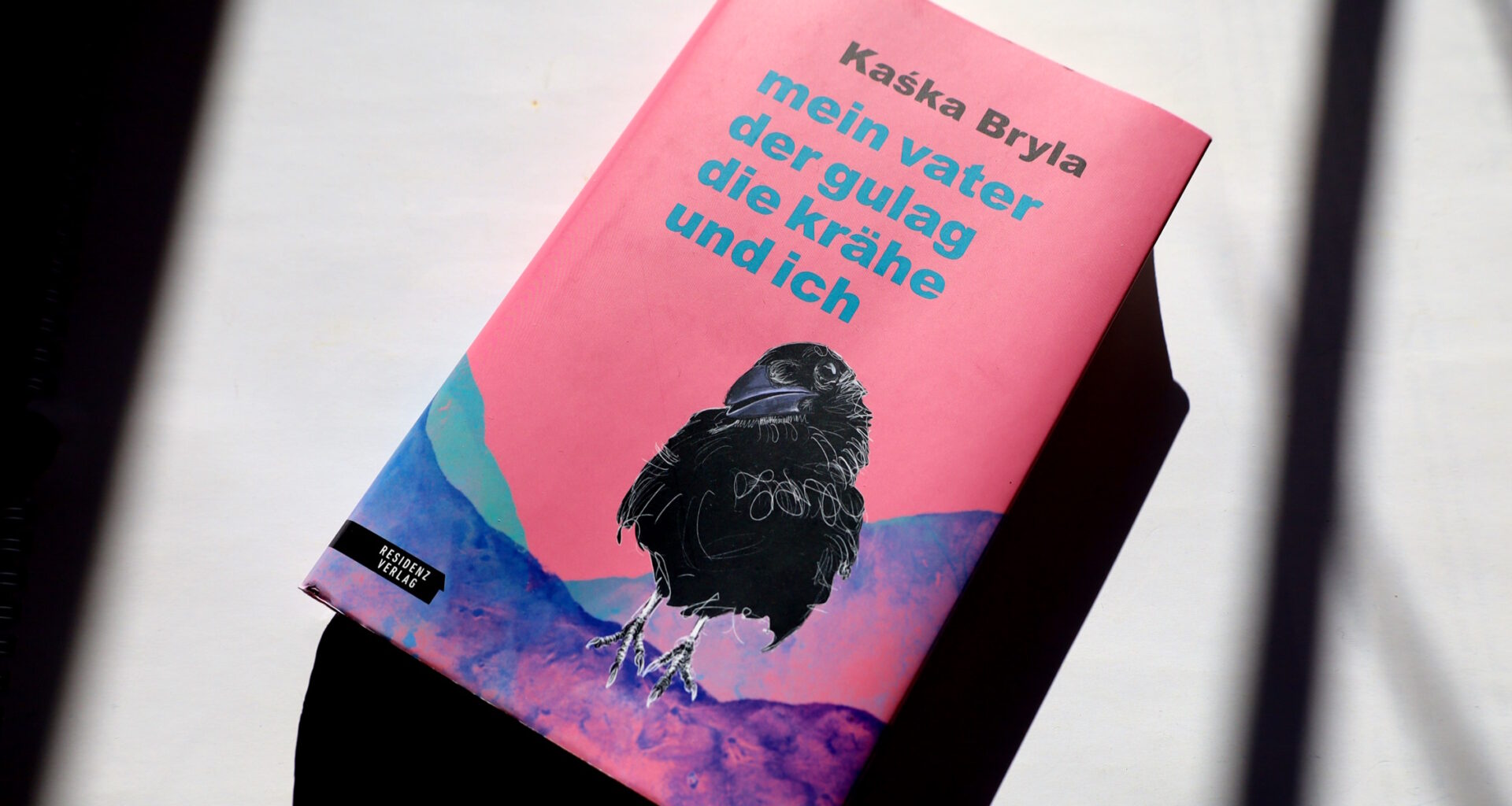 Kaśka Brylas Roman aus dem fernen Jahr 2020 · Leipziger Zeitung