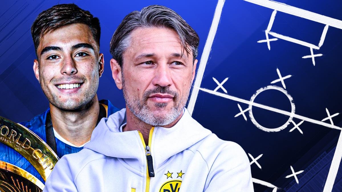 BVB stellt sich neu auf