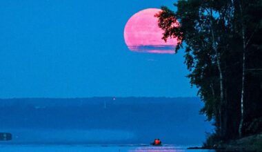 Russland verschiebt Missionen zu Mond und Venus - Raum