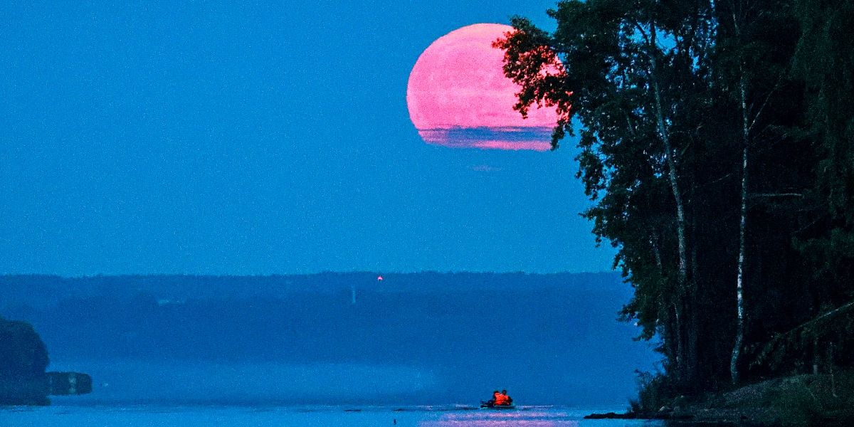 Russland verschiebt Missionen zu Mond und Venus - Raum