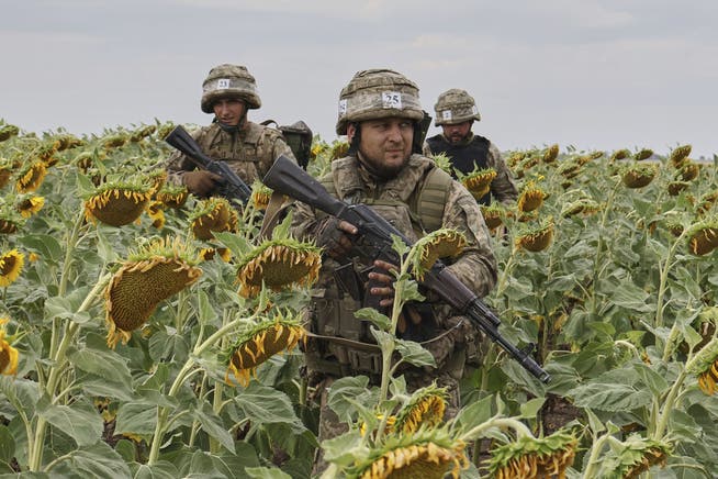 Rekruten der ukrainischen Armee während einer Übung im August in der Region Saporischja.