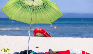 Nachrichten aus dem Sommerloch in und um München - Landkreis München