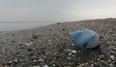 Ein portugiesischer Man-O-War ist auf dem Wasser im Chandeleur Sound, Laos, am Donnerstag, 6. Mai 2010, zu sehen.