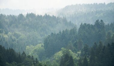 Offenbach | Tschüss Grau: Sonnigeres Wetter zur Wochenmitte