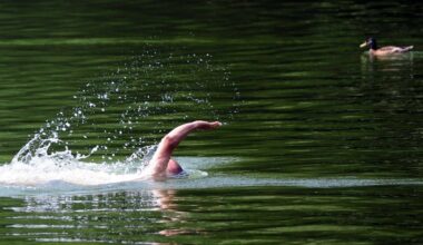 Berlin | Wels und Co.: Wer schwimmt - außer mir - im Badesee?