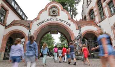 Leipzig | Zoo Leipzig schläfert drei Tigerbabys ein