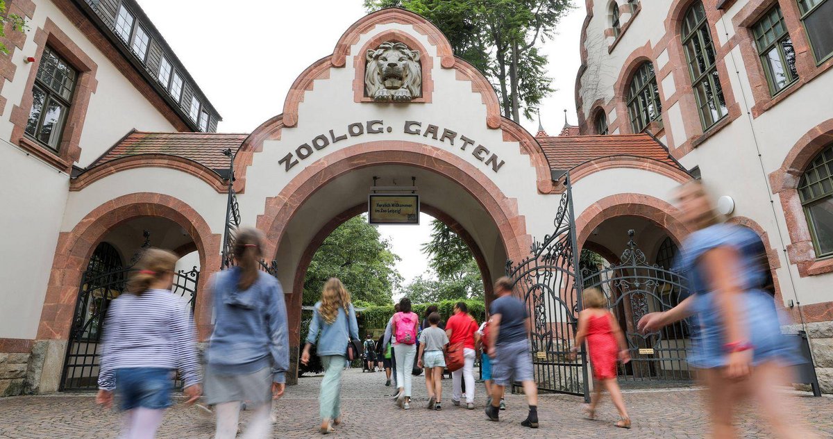 Leipzig | Zoo Leipzig schläfert drei Tigerbabys ein