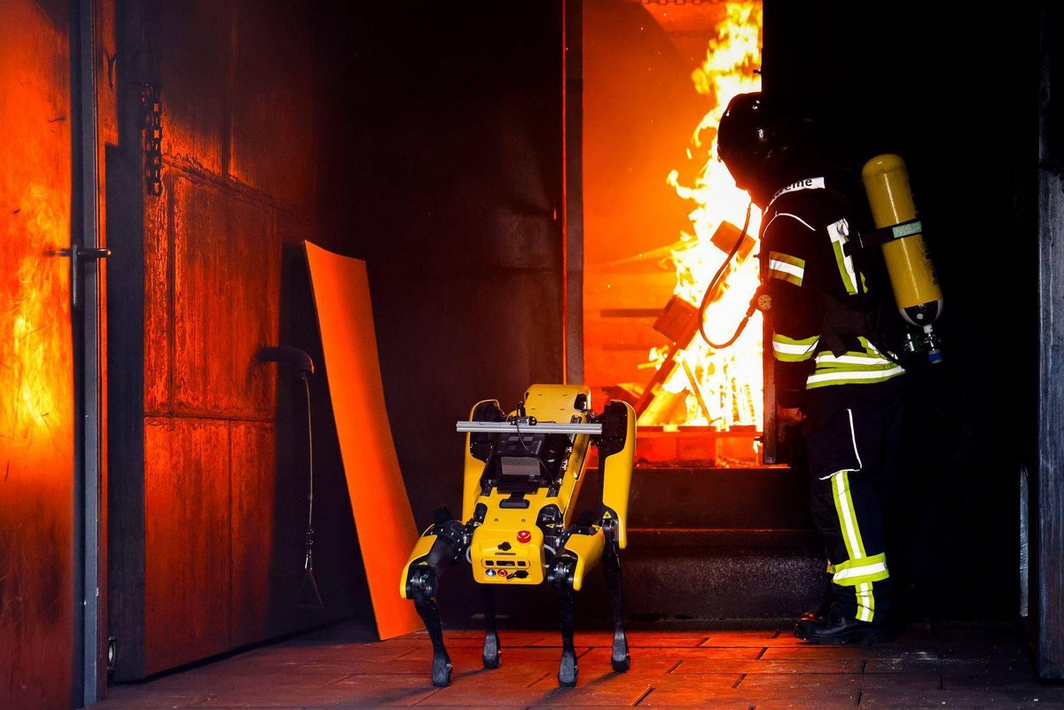Kiel | Roboter «Byte» lernt Umgang mit Waldbränden
