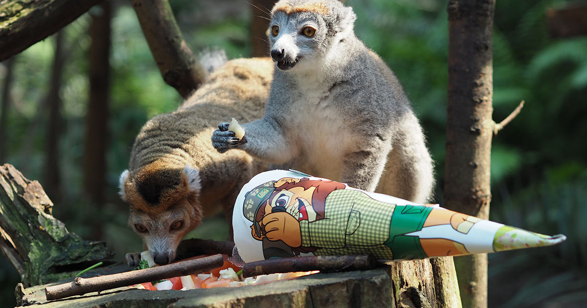 Schulanfänger-Wochenende im Zoo Leipzig - Stadt Leipzig