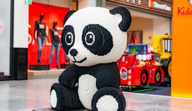 LEGO® Ausstellung mit Rallye und Bauaktion