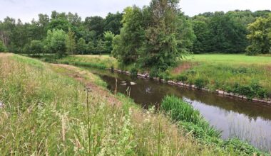 Ja, was denn nun? Rein in den Fluss, raus aus dem Fluss