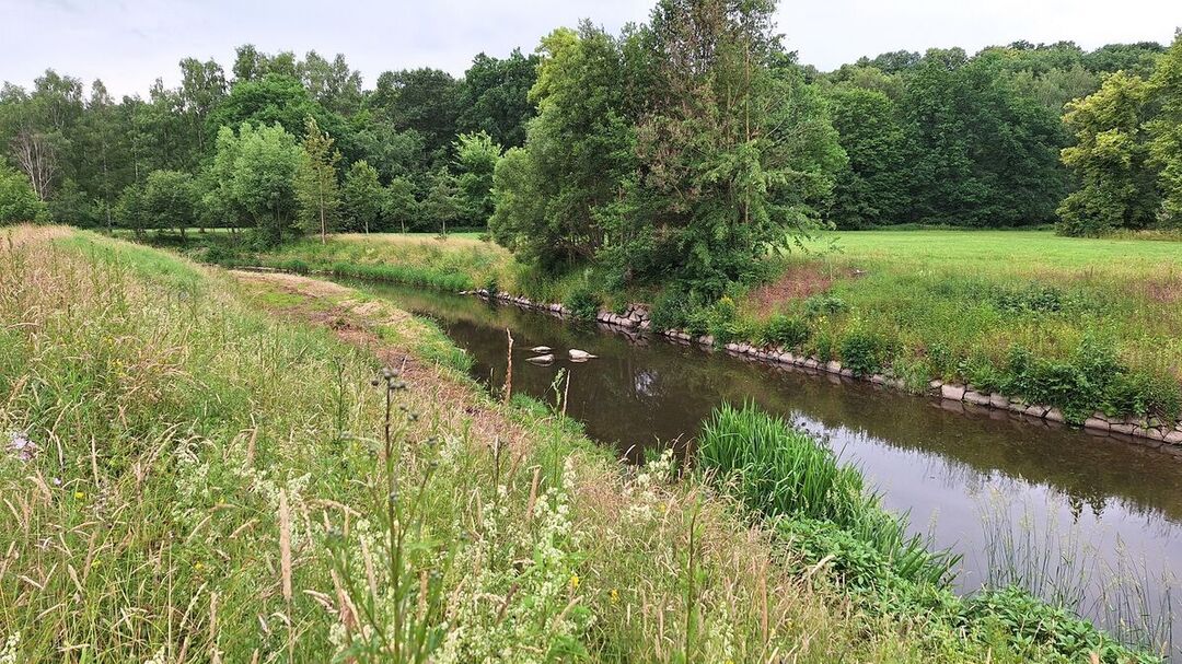 Ja, was denn nun? Rein in den Fluss, raus aus dem Fluss