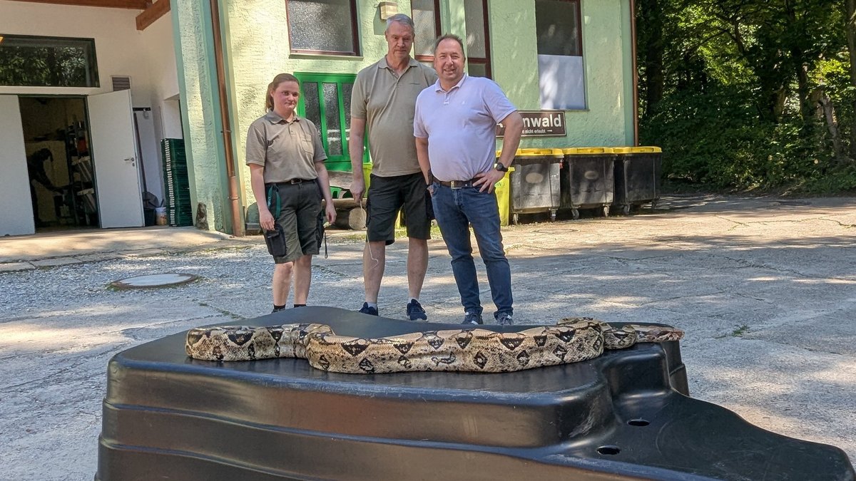 Herford: Besitzer von Boa Constrictor meldet sich nicht