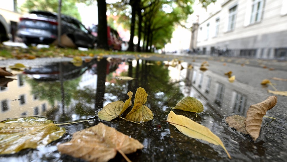 Herbstlich: Der Regen hat Blätter von den Bäumen gespült.
