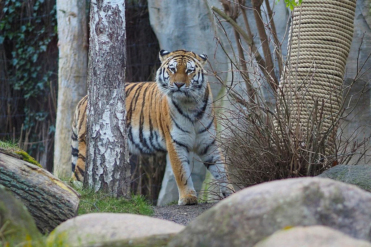 zoo-leipzig