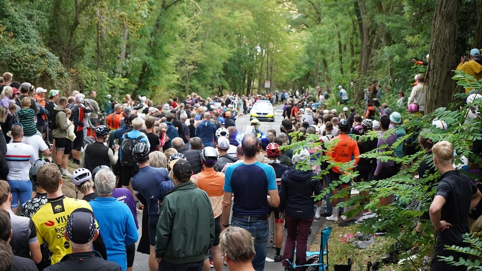 Deutschlandtour von Halle nach Magdeburg: Zehntausende Zuschauer verfolgen letzte Etappe