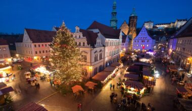 Bäume für Weihnachtsmärkte in Dresden und Pirna gesucht
