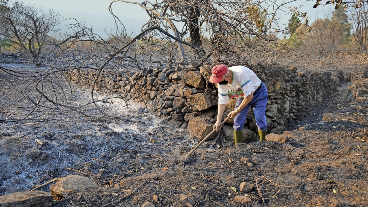 Die Betroffenen müssen selbst ran: Ein Anwohner arbeitet auf einem Grundstück in Jarilla, auf dem das Feuer gewütet hat.