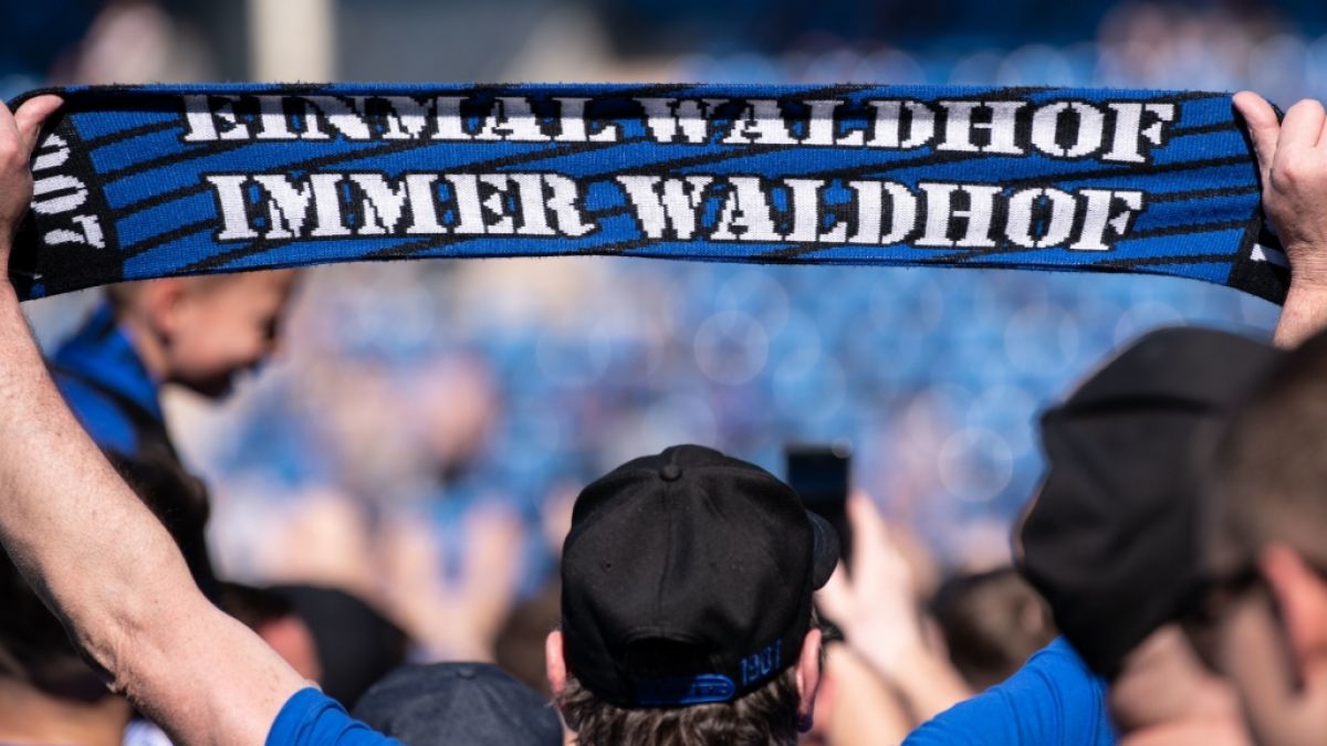 SV Waldhof Mannheim: Die Team-Statistik nach dem 2. Spieltag in der 3. Liga