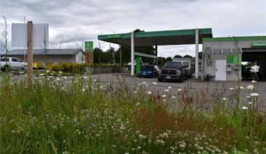 E5, E10 & Diesel im Blick