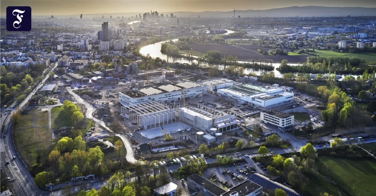 Stadt Offenbach erwartet Gewerbesteuer-Rekordeinnahmen | FAZ