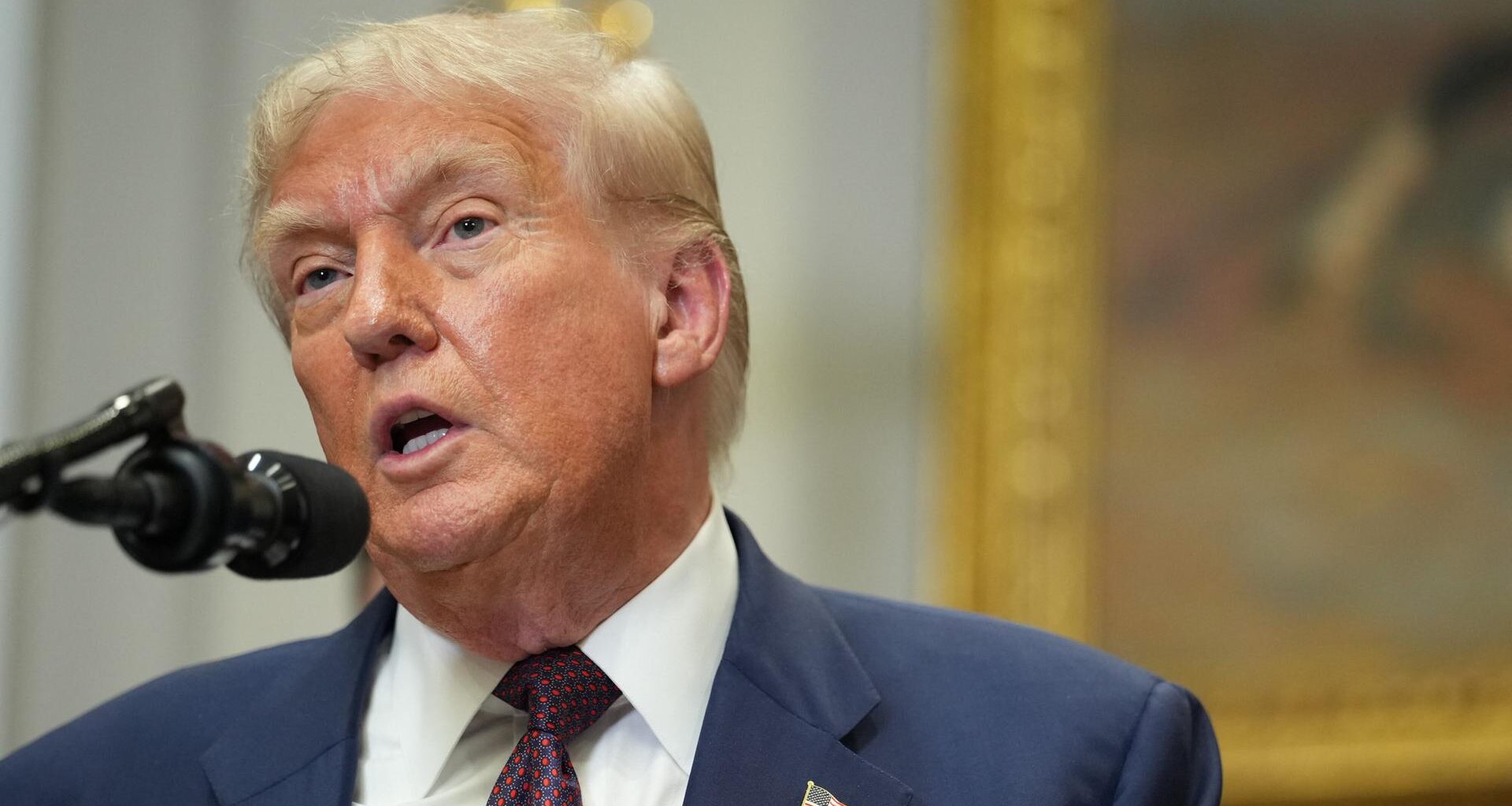US-Präsident Donald Trump spricht bei einer Executive-Order-Zeremonie im Weißen Haus in Washington in ein Mikrofon.