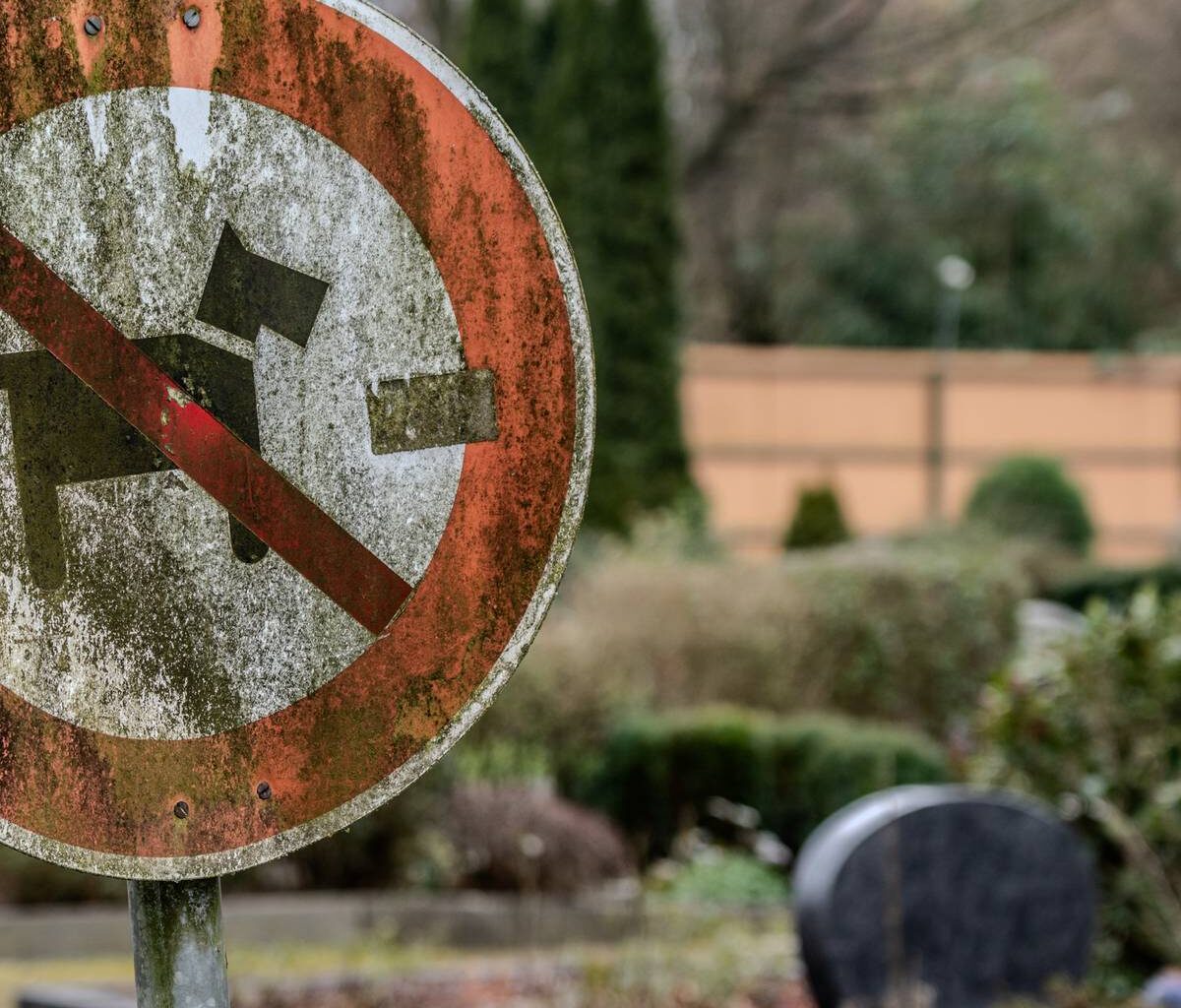Hundeverbot auf Friedhöfen in Bochum: Änderung lässt auf sich warten