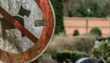 Hundeverbot auf Friedhöfen in Bochum: Änderung lässt auf sich warten