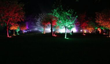 Magische Momente beim Lichterabend