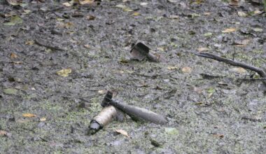 Sankt Augustin: Granaten in Waldstück sichergestellt