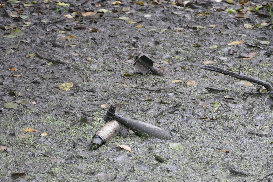 Sankt Augustin: Granaten in Waldstück sichergestellt