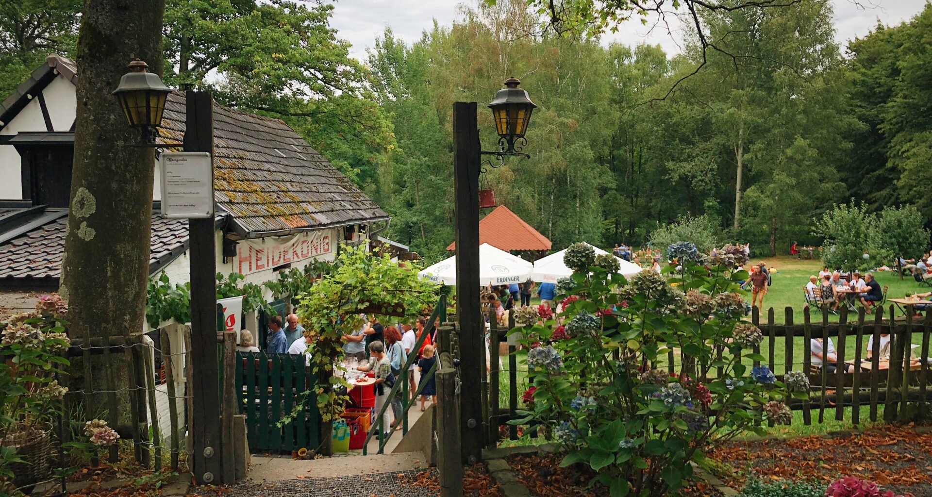 Märchenhafte Waldwirtschaft in der Wahner Heide: Der Heidekönig